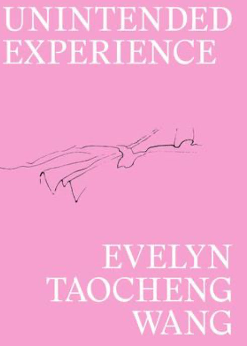 Basket Books: “Unintended Experience” by Evelyn Taocheng Wang
