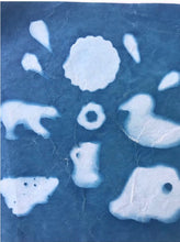 Load image into Gallery viewer, Cyanotype Workshop, All ages, Sunday, 3.10, 11-3 pm, $30
