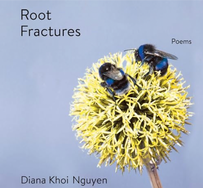 Root Fractures