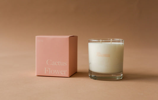 Cactus Flower Candle by dilo